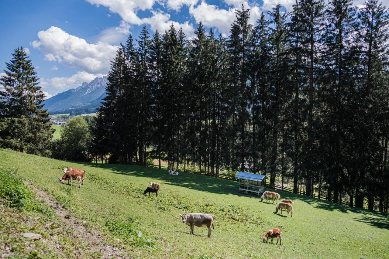Appartamento Haubenthal Villabassa Esterno foto