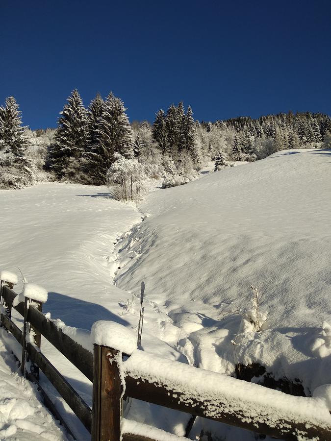 Appartamento Haubenthal Villabassa Esterno foto